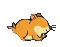 Hamster